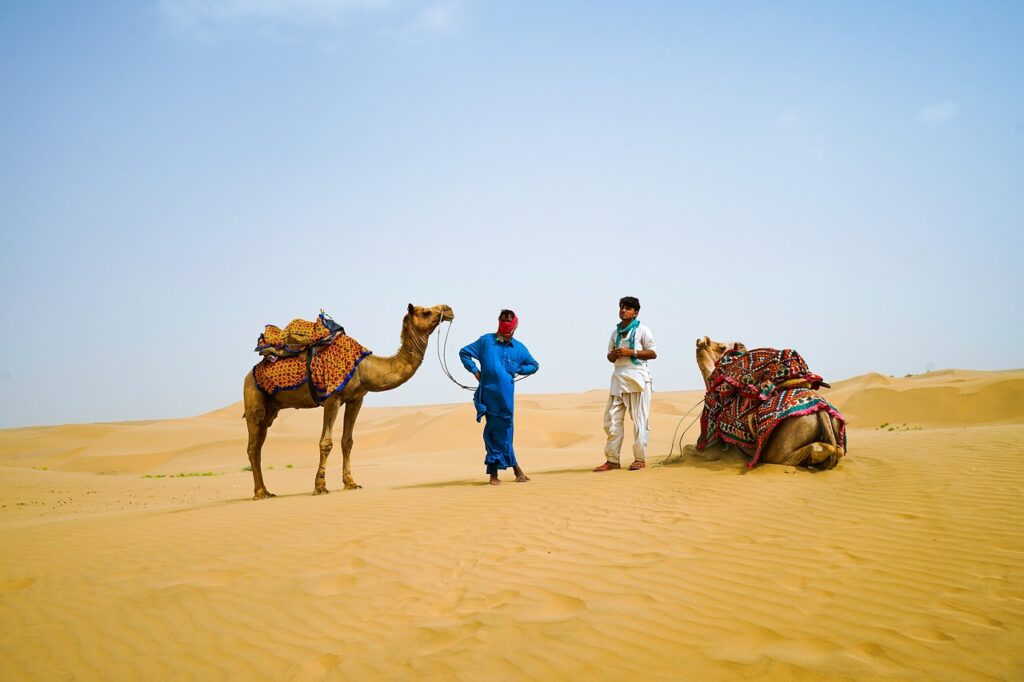 desert, camel, travel-6626542.jpg